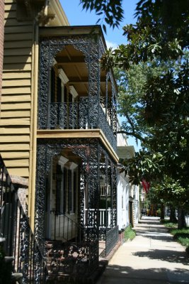 Savannah_7250