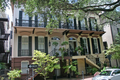 Savannah_7167_P