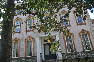 Savannah_7168_P