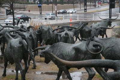 Longhorns