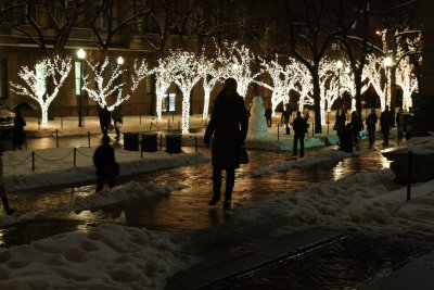 Evening Lights