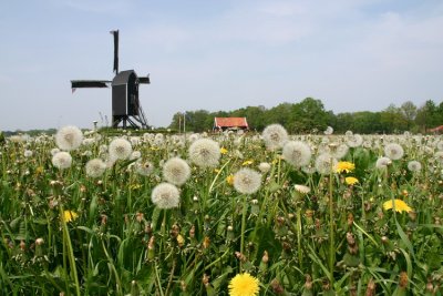 Wissink's Mill, Twente, Holland