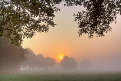 Misty morning