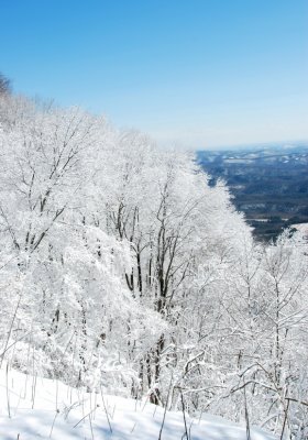 Nature at Primland