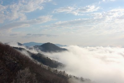 Primland Fog in the Winter By:Barry Towe Photography {Copyright 2009}