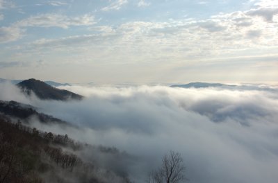 God's Country in Primland