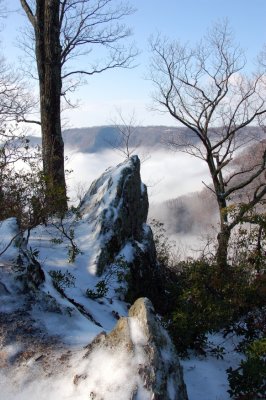 Fog Laying low in Kiber Valley from Primland