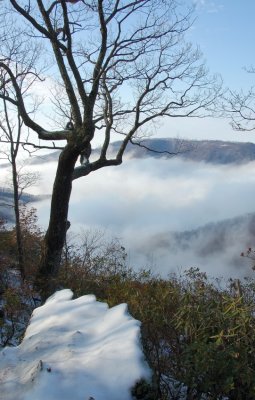 Primland Fog in the Winter By:Barry Towe Photography {Copyright 2009}