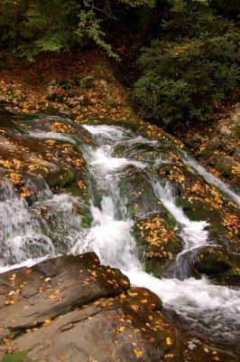 Cascades in the Smoky Mtns.