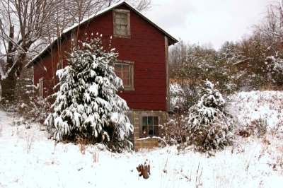 DSC_1459.jpg