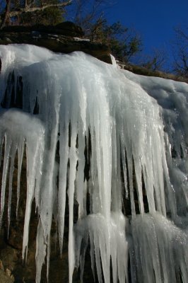 DSC_1683.jpg