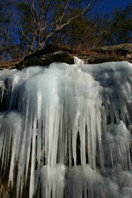 DSC_1684.jpg