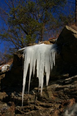 DSC_1682.jpg