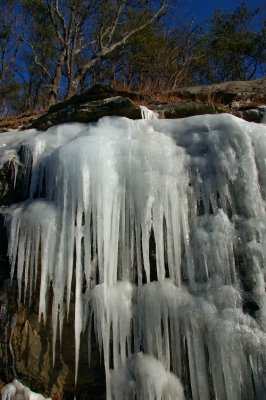 DSC_1685.jpg