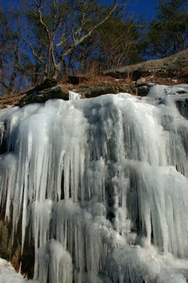 DSC_1687.jpg