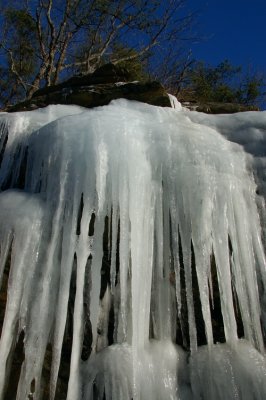 DSC_1689.jpg