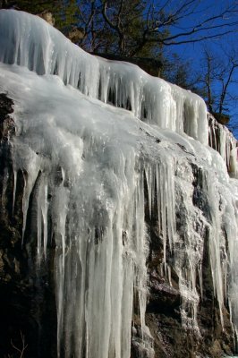DSC_1690.jpg