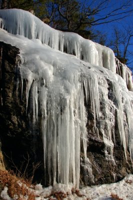 DSC_1691.jpg