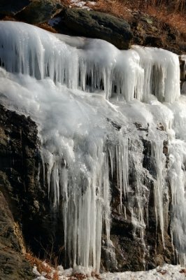 DSC_1657.jpg