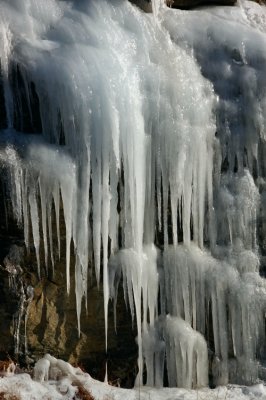 DSC_1666.jpg