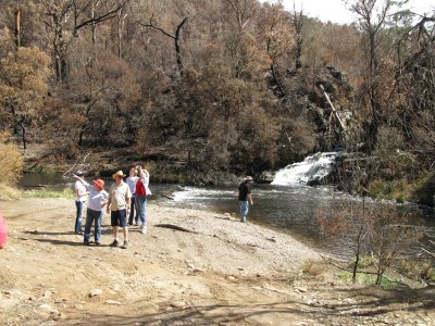 Harrison's Cut, Dargo River