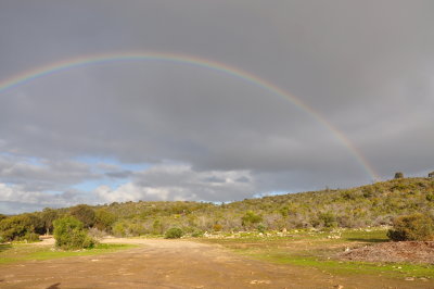 Rainbow - Coffin Bay NP