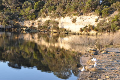 Legendary Expedition to Eyre Peninsula