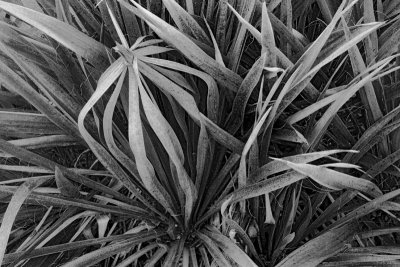 natural intersections