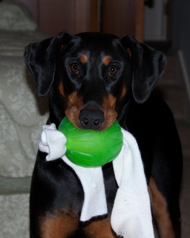 With Green Toy and Sock