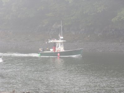 DSCN6181.jpg