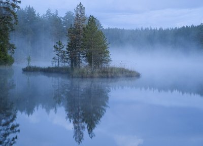 Misty lake, Dimmsljor ver sj