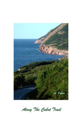 Along The Cabot Trail