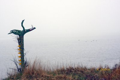 (Folk Art)  Along The Marconi Trail