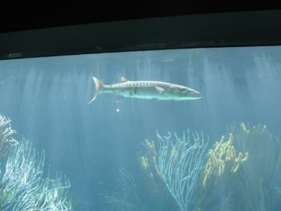 IMG_0700.JPG