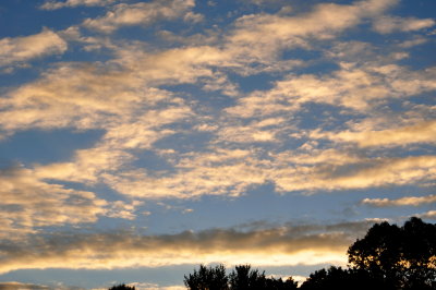 fall_is_in_the_air