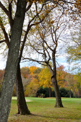 DSC_0163.jpg