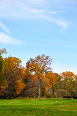 DSC_0165.jpg