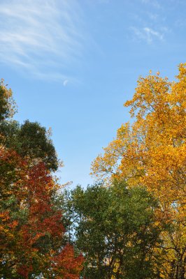 DSC_0168.jpg