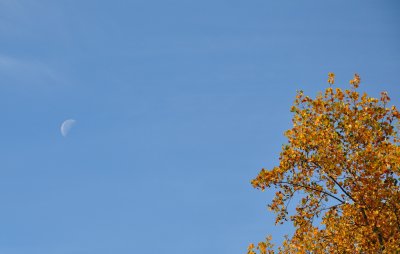 DSC_0170_2.JPG