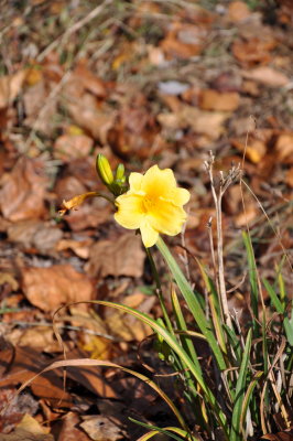 DSC_0182.jpg