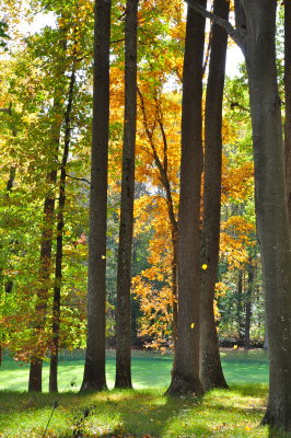 DSC_0194.jpg