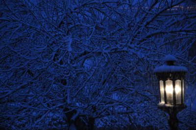 signs_of_winter