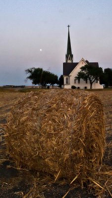 Makin hay while the moon shines.