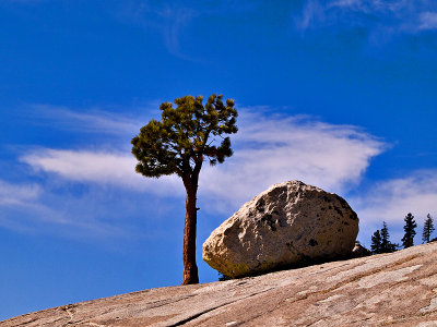 This boulder is described as a glacial erratic boulder at Olmstead Point