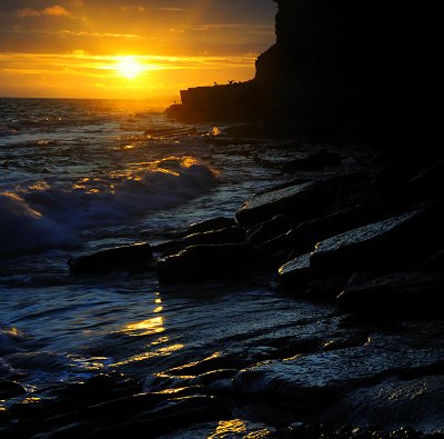 Sunset and Sea Gulls