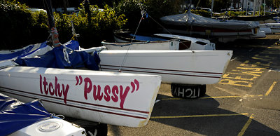 Beware of the Itchy Pussy