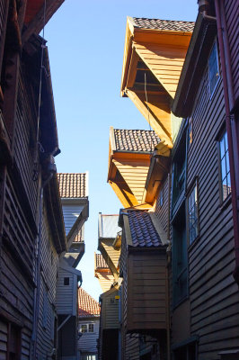 Bryggen - Roofs