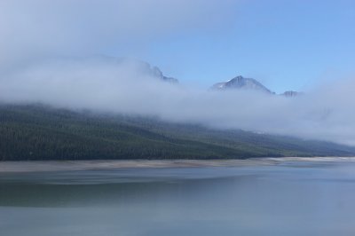 Morning Mist