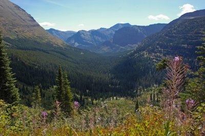 Iceberg Lake Trail