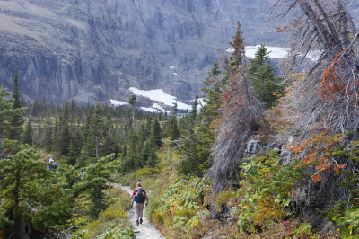 Iceberg Lake Trail